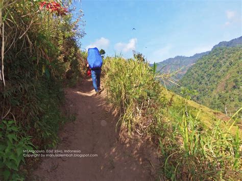 Pendakian Gunung Argopuro Mdpl Via Baderan Bremi Manusia Lembah