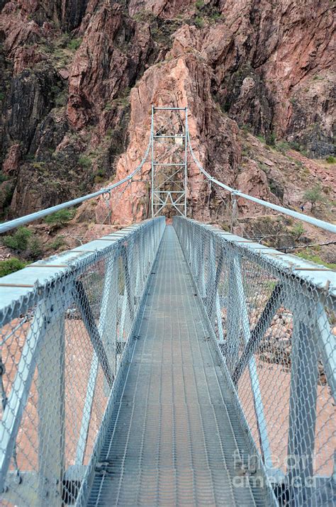 The Silver Bridge Spanning The Colorado River At The Bottom Of Grand