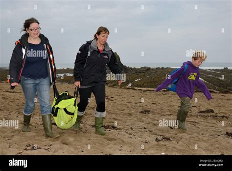 British Divers Marine Life Rescue Animal Medics Michelle Clement And