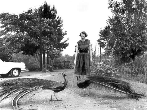 Flannery Oconnor Inspired By Irish Southern Storytellers Flannery O