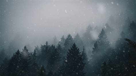 Free Download Animated Forest Snow For Wallpaper Engine 4k 1280x720
