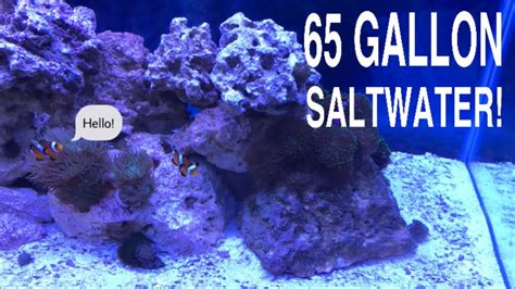 Aqueon 65 Gallon Saltwater Aquarium