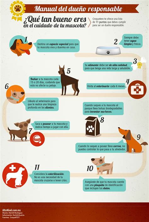 Mundo Mascotas 10 Recomendaciones Para El Dueño Responsable Alto