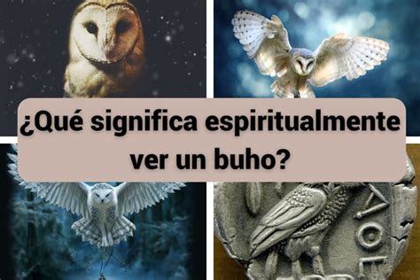 ️ ¿qué Significa Cuando Ves Un Búho Significado Espiritual Y Simbolismo
