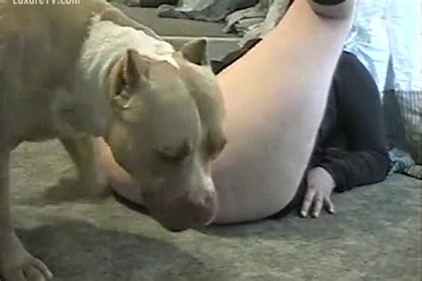 Big Beautiful Woman Widens Her Cunt To Take A Hard Dog