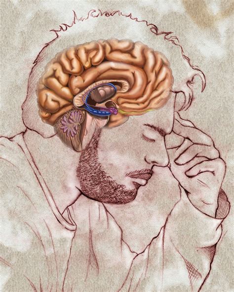 Human Mind Illustration Stock Image C0393476 Science Photo Library