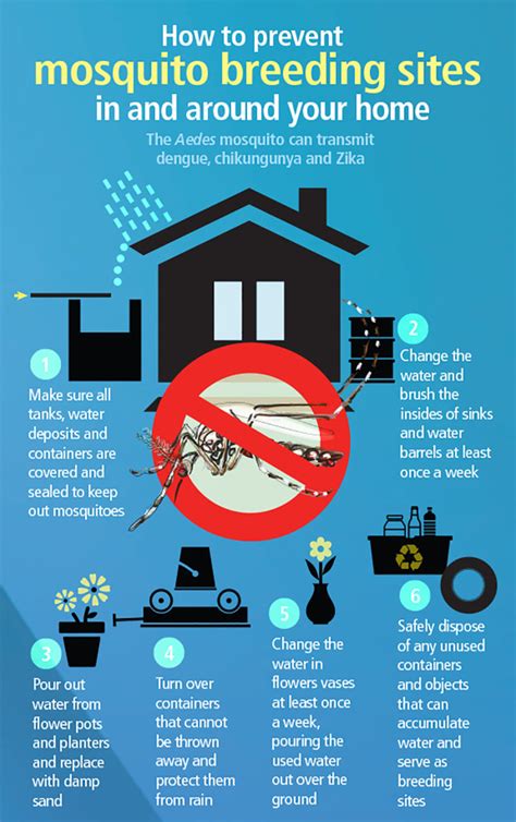 Infographics For Mosquito Season Recoil Offgrid