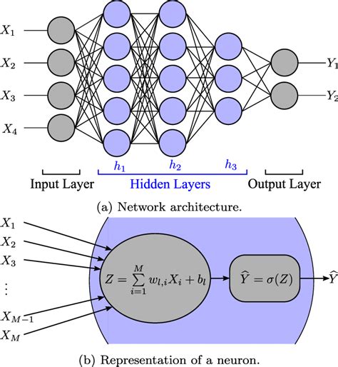 Schematic Of A Fully Connected Feedforward Neural Network A Network