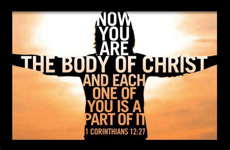 Unity Diversity And The Body Of Christ Salvaged Faith