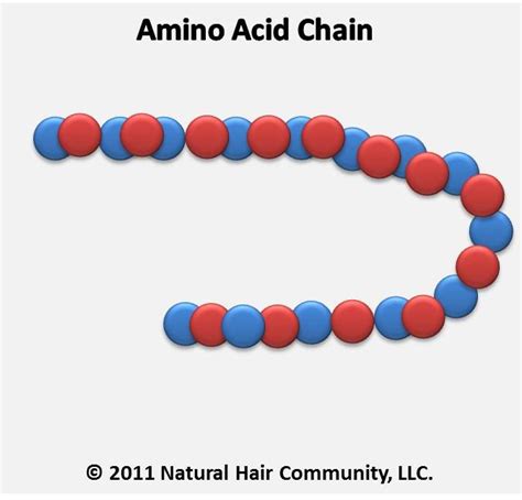 Amino Acid Chain Natural Hair Blogs And Articles Pinterest