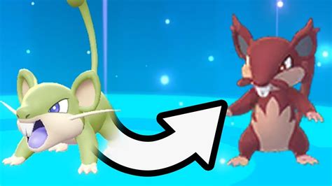 Does Trading A Shiny Rattata Guarantee A Shiny In Return Pokémon Let