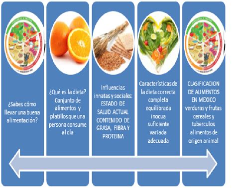 Nutricionista Estudiar Dieta Completa Equilibrada Inocua Suficiente