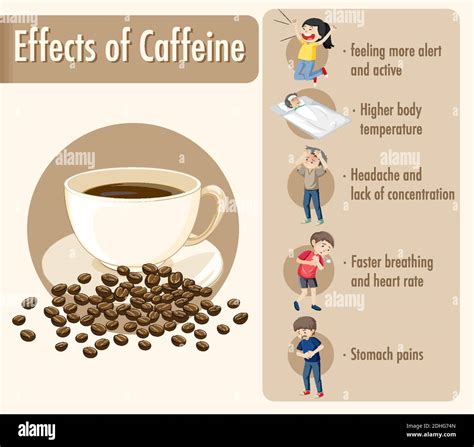 Effects Of Caffeine Information Infographic Illustration Stock Vector