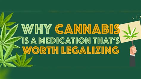Legalizing Cannabis Why Its Strong Medical Benefits Cannot Be Ignored Infographic