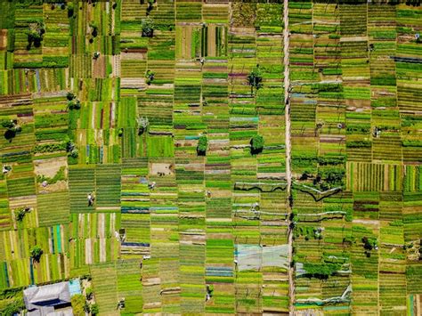 3799x2849 Herb Farmland Aerial Pattern Drone Fields Lines Crops