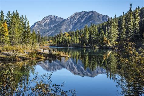 Lake Mountains Spruce Trees Branches Hd Wallpaper Peakpx