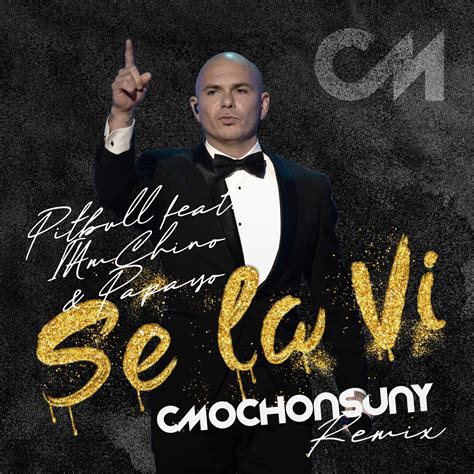 Se La Vi Cmochonsuny Edit 2020 By Pitbull Iamchino And Papayo Free