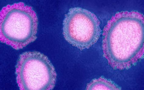 Coronavirus (cov) adalah salah satu keluarga besar. Di Tengah Pandemi Covid-19, Jangan Lupakan Tanda Terkena ...