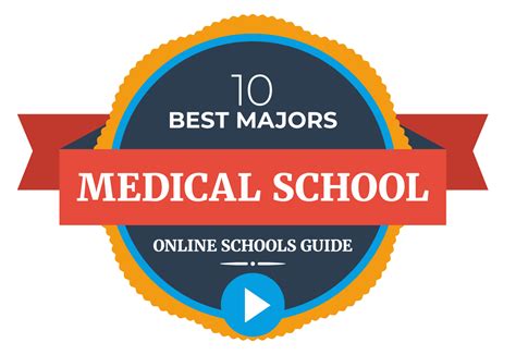 10 Best Majors For Med School Admissions With Online Degrees