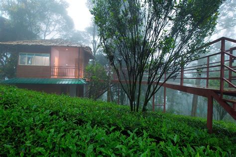 Dream Catcher Plantation Resort Munnar Travel Guide