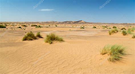 Flat Desert With Some Grass — Stock Photo © Nicvw 89845926