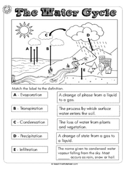 water cycle diagram worksheet  label   creative