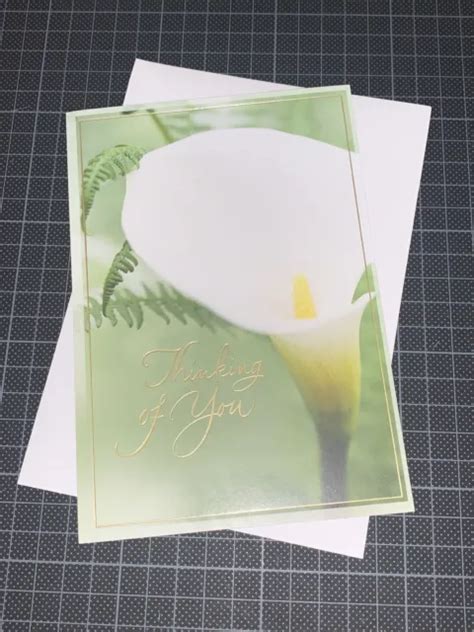 Hallmark Sympathy Card Simple Calla Lily Thinking Of You Wishing Peace