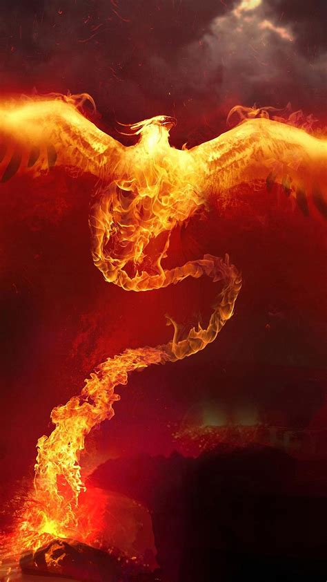 Phoenix Fire Wallpaper For Iphone X 8 7 6 Free Download On 3wallpapers