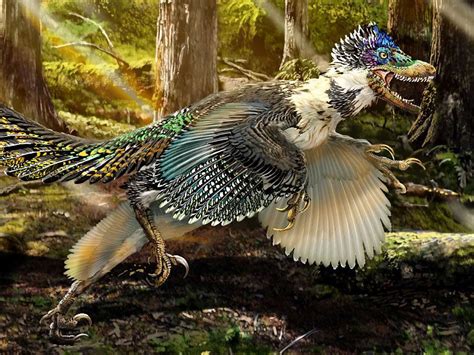 Velociraptor Feathers Discovery