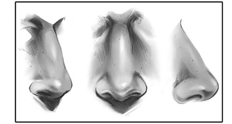Male Nose References We Realise The Size Of The Files Can Be Too Big