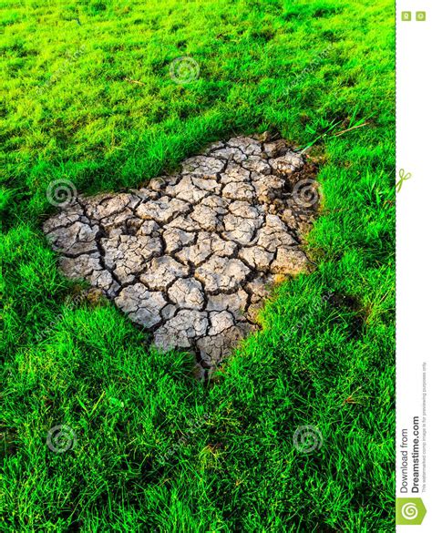 The Cracked Earth Ground In The Field Stock Photo Image Of Global