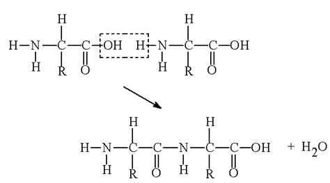 Glycine Molecule Of The Month April 2010 Html Version