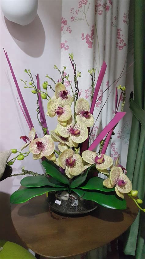 Dae aka deborah neele | orkid team. A to Z Deco Kemaman: Bunga orkid untuk hiasan dalaman