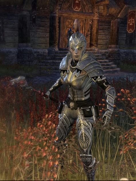 Whats Your Favorite Armor Combination — Elder Scrolls Online