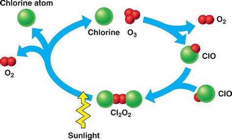 Cfchtml 5524chlorineozone L