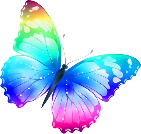 Butterfly Image Free Clipart Best