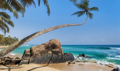 Sri lankaans strand combineren met koloniale steden en natuur? De mooiste stranden van Sri Lanka | Corendon Inspiratie