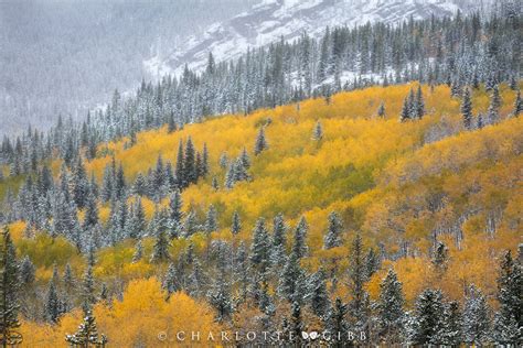 6 Highly Effective Tips For Fall Photography