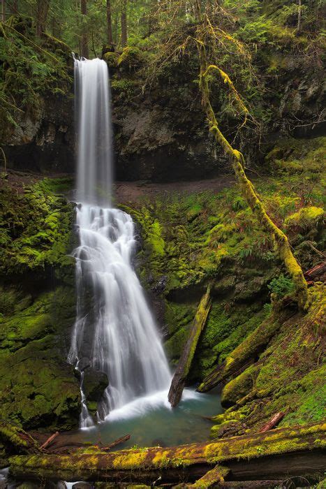 Trestle Falls Umpqua National Forest Oregon Oregon Waterfalls