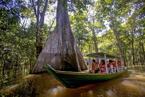 Adventurers Guide To The Amazon Rainforest The Adventure Daily