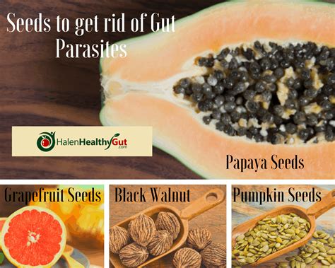 Parasite Cleanse Diet For Humans 21 Best Natural Remedies