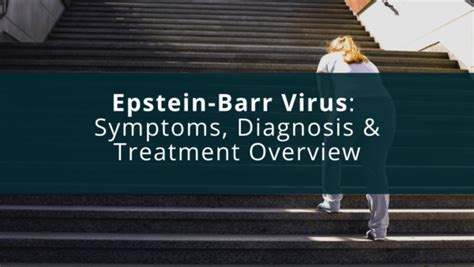 Epstein Barr Virus Symptoms Diagnosis And Treatment Overview