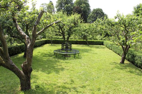 32 Brilliant Backyard Tree Ideas