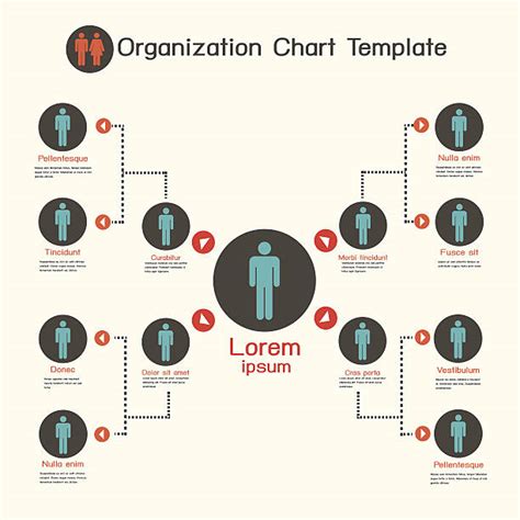 Royalty Free Organization Chart Clip Art Vector Images And Illustrations