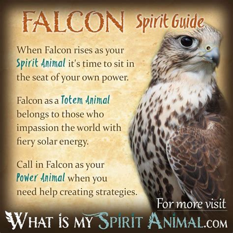 Bird Symbolism And Meaning Spirit Totem And Power Animal