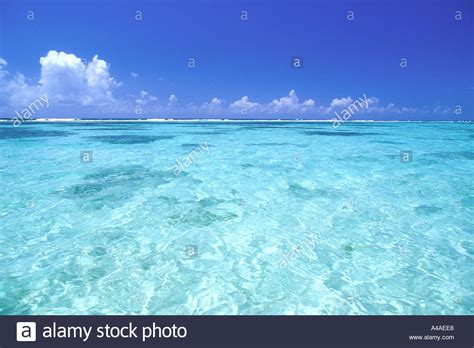 Blue Sky And Shallow Ocean Water Grand Cayman Caribbean