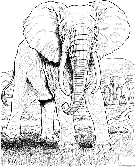 Elephant Hard Animal Adult Coloring Page Printable