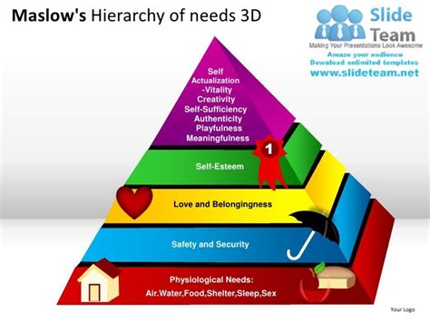 Maslows Hierarchy Of Needs D Powerpoint Presentation Slides Ppt Tem