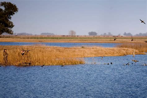 Jacana Lodge Argentina Duck Hunting Buenos Aires Duck Hunting