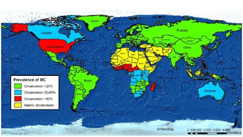 Global Prevalence Of Male Circumcision Source Hankins 2006 Download Scientific Diagram